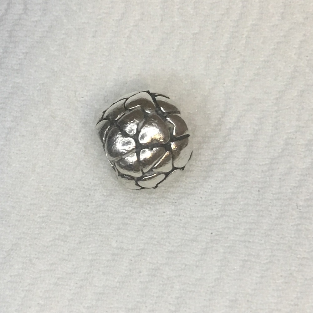 Pandora charm